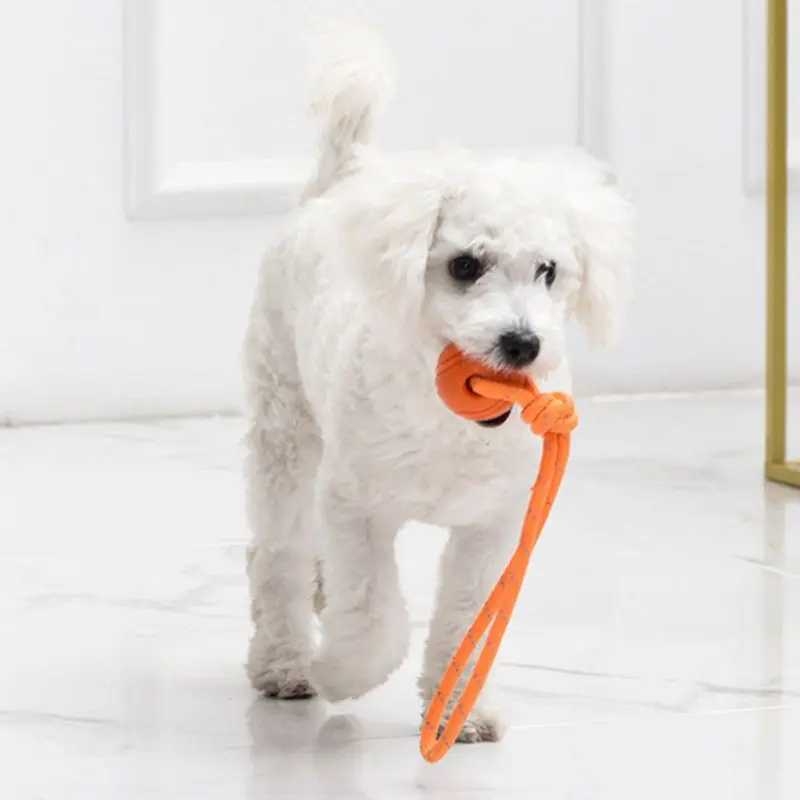 코튼 로프 공 장난감 개 훈련 공, 내구성 있는 상호작 - Suction Cup Dog Tug Toy 리뷰 및 가격