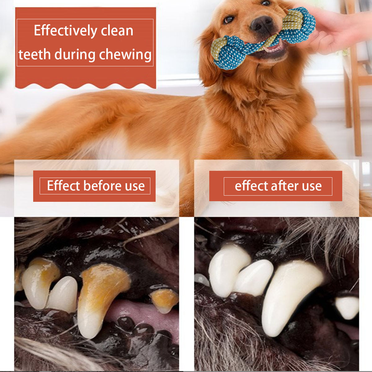 새로운 7종 애완견 강아지 이중 매듭 씹는 장난감 치아 - Teeth Cleaning Dog Chew Bone 리뷰 및 가격