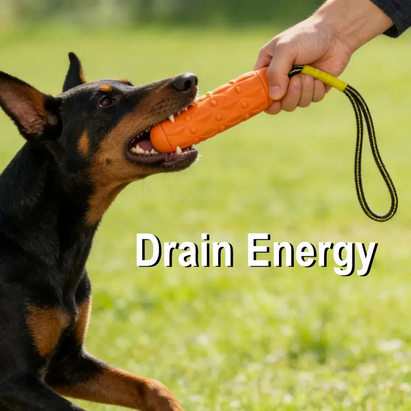 파괴 불가능한 개 씹기 장난감 EVA 물기 막대 로프  - Dog Rope Toy Aggressive Chewers 리뷰 및 가격