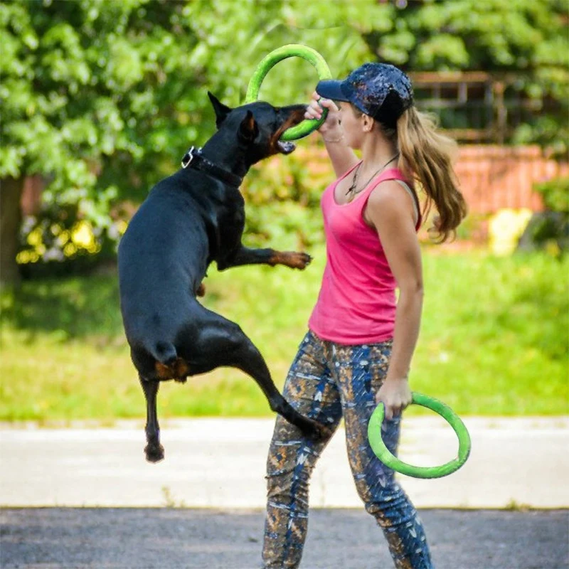 애완 동물 플라잉 디스크 EVA 개 훈련 링 풀러, 반 - Suction Cup Dog Tug Toy 리뷰 및 가격