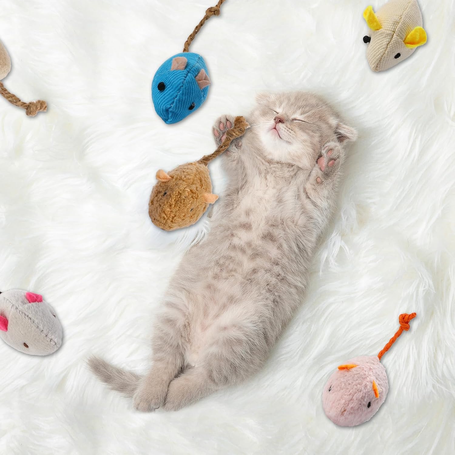 랜덤 포장된 고양이와 쥐 장난감 8개 - 실내 고양이에 - Catnip Interactive Plush Mouse 리뷰 및 가격