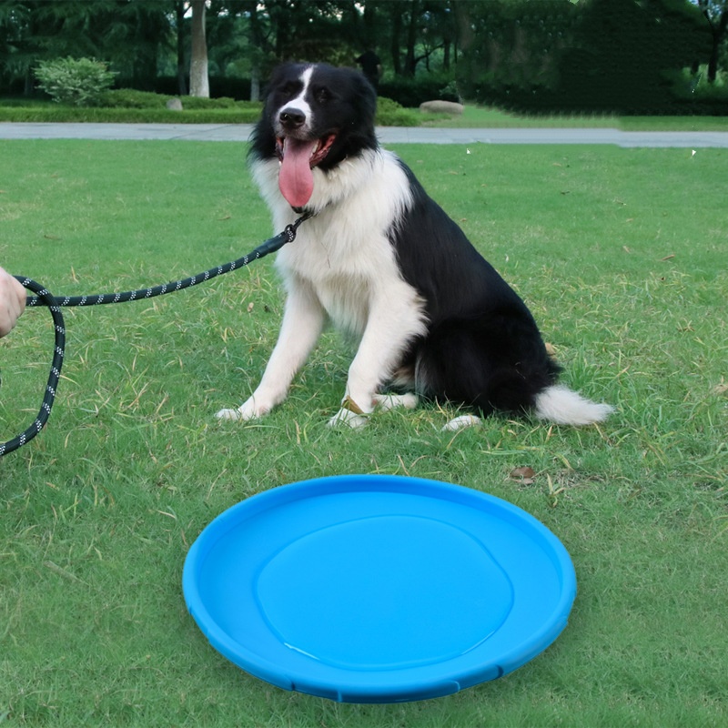 강아지와 고양이를 위한 상호작용형 실리콘 비행접시 장난 - Flying Disc Dog Training Toy 리뷰 및 가격