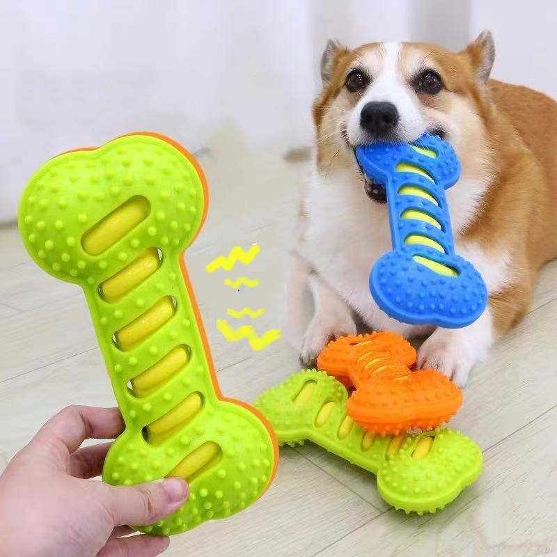 튼튼한 고무 강아지 씹는 장난감 삑삑이 뼈 모양 내구성 - Teeth Cleaning Dog Chew Bone 리뷰 및 가격