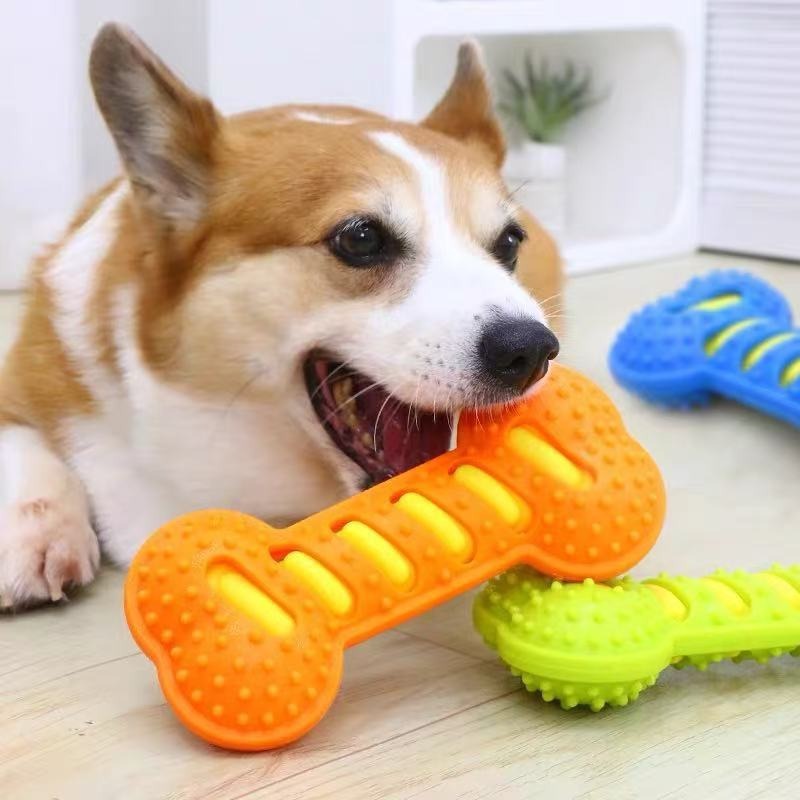 튼튼한 고무 강아지 씹는 장난감 삑삑이 뼈 모양 내구성 - Teeth Cleaning Dog Chew Bone 리뷰 및 가격