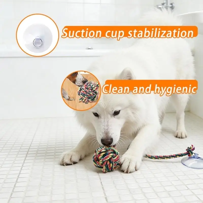 활동적인 개 실내 옥외 운동 및 훈련을 위한 강한 흡입 - Suction Cup Dog Tug Toy 리뷰 및 가격