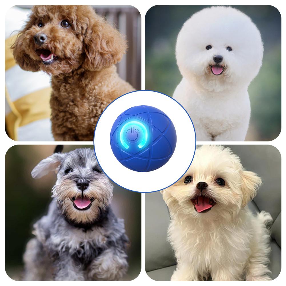 전자 인터랙티브 애완동물 장난감 스마트 강아지 장난감  - Automatic Moving Dog Ball 리뷰 및 가격