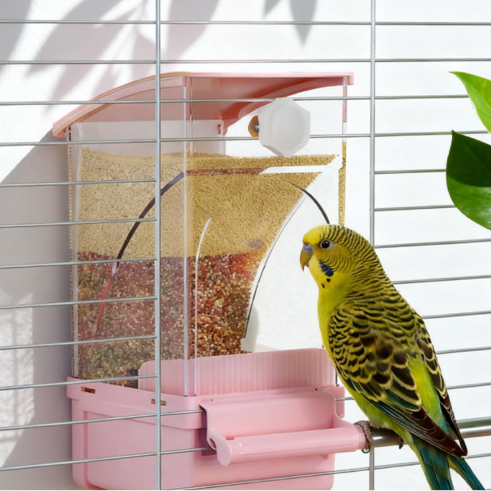 자동 조류 급식기 껍질 분리형 깔끔한 조류 급식기 깔끔 - Pet Feeders 리뷰 및 가격