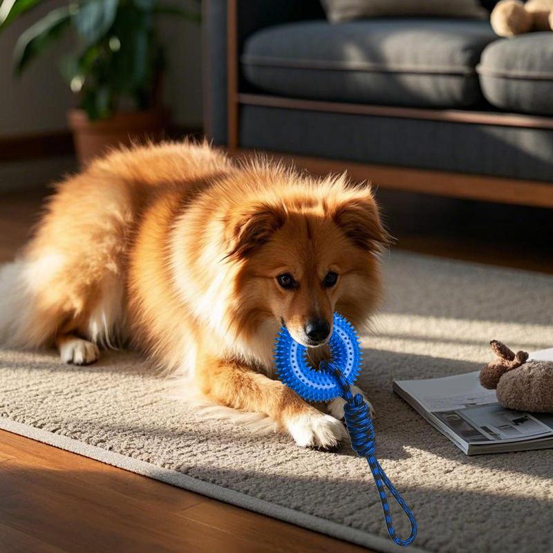 개를위한 삐걱 거리는 장난감 Chewers를위한 뾰족한 - Dog Rope Toy Aggressive Chewers 리뷰 및 가격