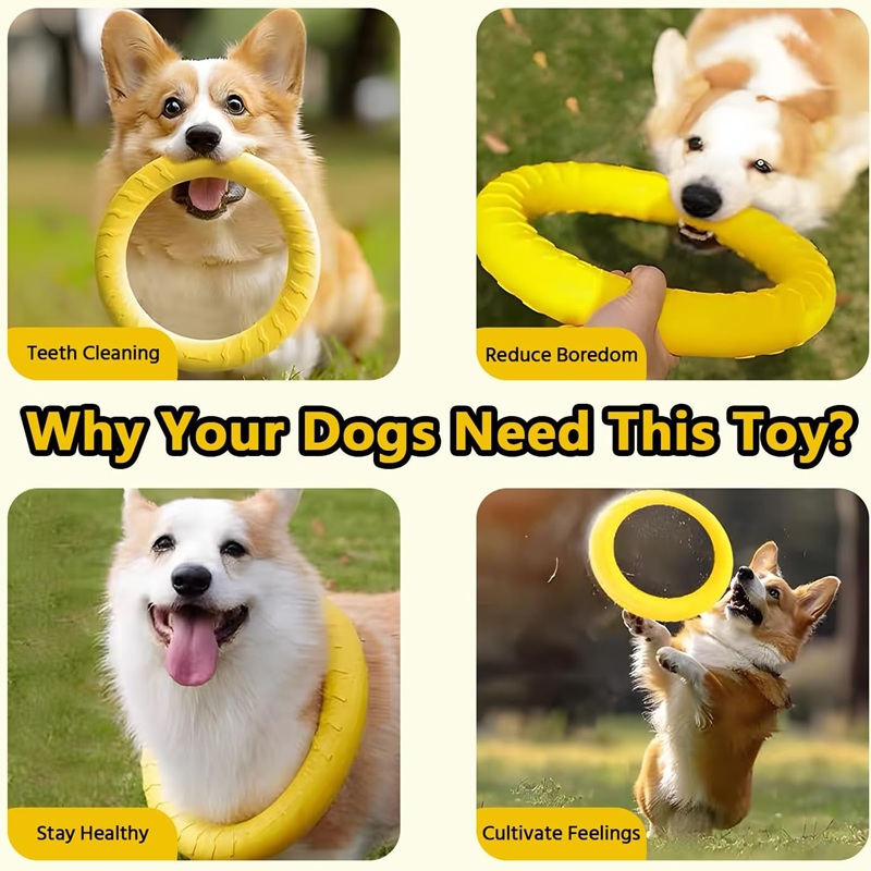 강아지 장난감, 애완동물 플라잉 디스크, EVA 강아지 - Suction Cup Dog Tug Toy 리뷰 및 가격