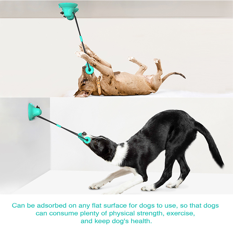 이중 흡착판 강아지 씹는 놀이용 로프 장난감, 파괴 불 - Dog Rope Toy Aggressive Chewers 리뷰 및 가격