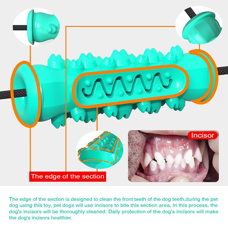 이중 흡착판 강아지 씹는 놀이용 로프 장난감, 파괴 불 - Dog Rope Toy Aggressive Chewers 리뷰 및 가격