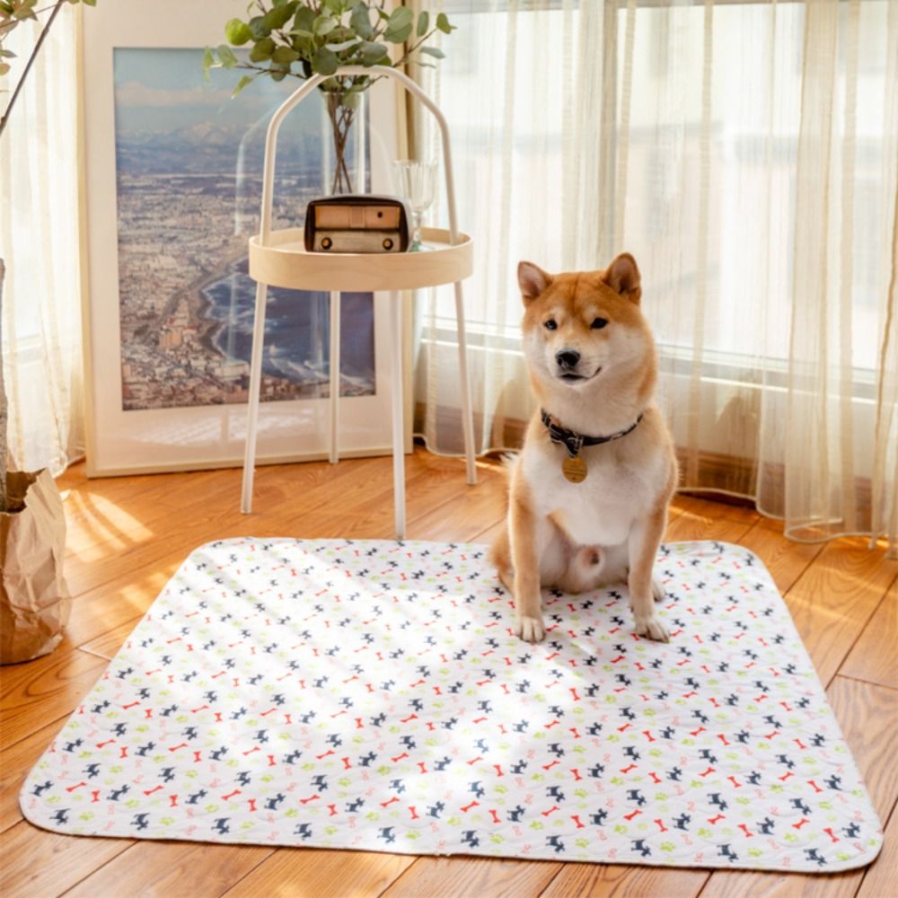 초흡수성 반려동물 침대 매트 재사용 가능 세탁 가능 강 - Pet Beds 리뷰 및 가격