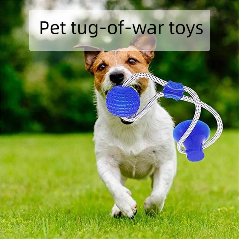 튼튼한 흡착판 강아지 끌어당기기 장난감, 인터랙티브 T - Suction Cup Dog Tug Toy 리뷰 및 가격
