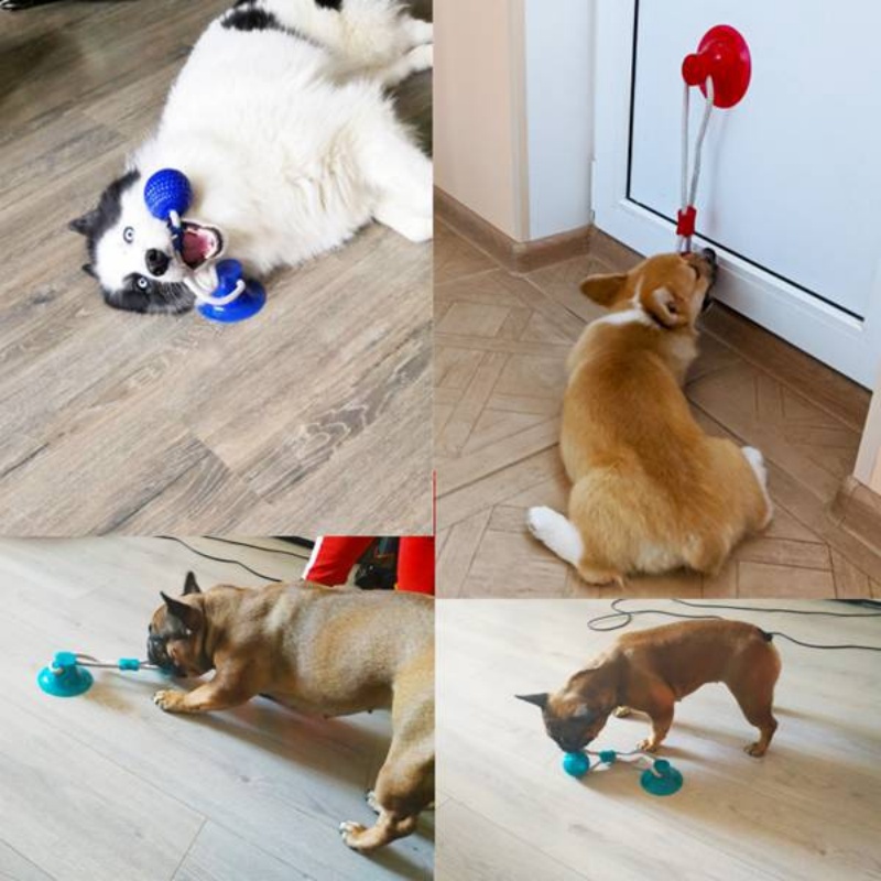 튼튼한 흡착판 강아지 끌어당기기 장난감, 인터랙티브 T - Suction Cup Dog Tug Toy 리뷰 및 가격
