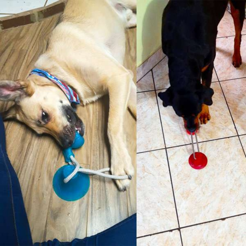 튼튼한 흡착판 강아지 끌어당기기 장난감, 인터랙티브 T - Suction Cup Dog Tug Toy 리뷰 및 가격