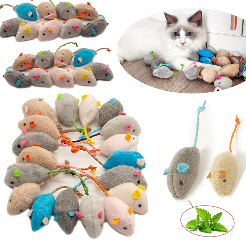 5개입 딸랑이 고양이 쥐 장난감, 고양이 민트가 들어있 - Catnip Interactive Plush Mouse 리뷰 및 가격