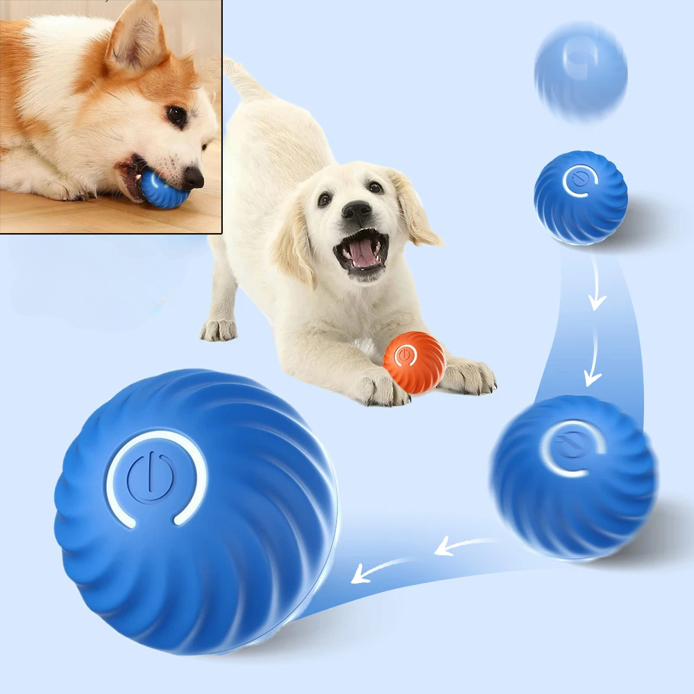 자동 이동 강아지 장난감 공 USB 충전식 스마트 바운 - Automatic Moving Dog Ball 리뷰 및 가격