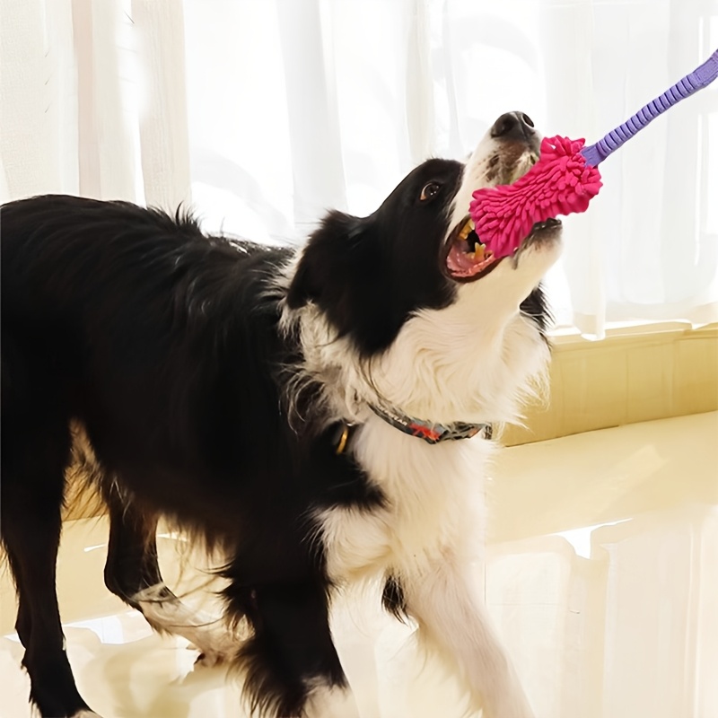 공격적인 씹는 습관을 가진 강아지를 위한 튼튼한 장난감 - Suction Cup Dog Tug Toy 리뷰 및 가격