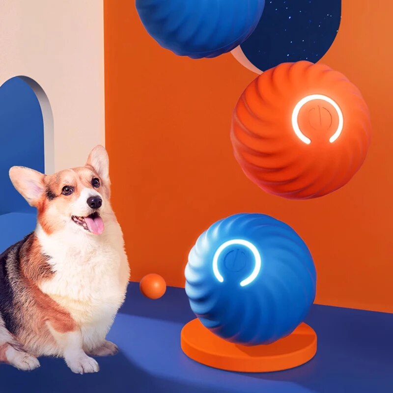 지능형 중력 점프 볼 충전식 물기 방지 롤링 볼, 고양 - Suction Cup Dog Tug Toy 리뷰 및 가격