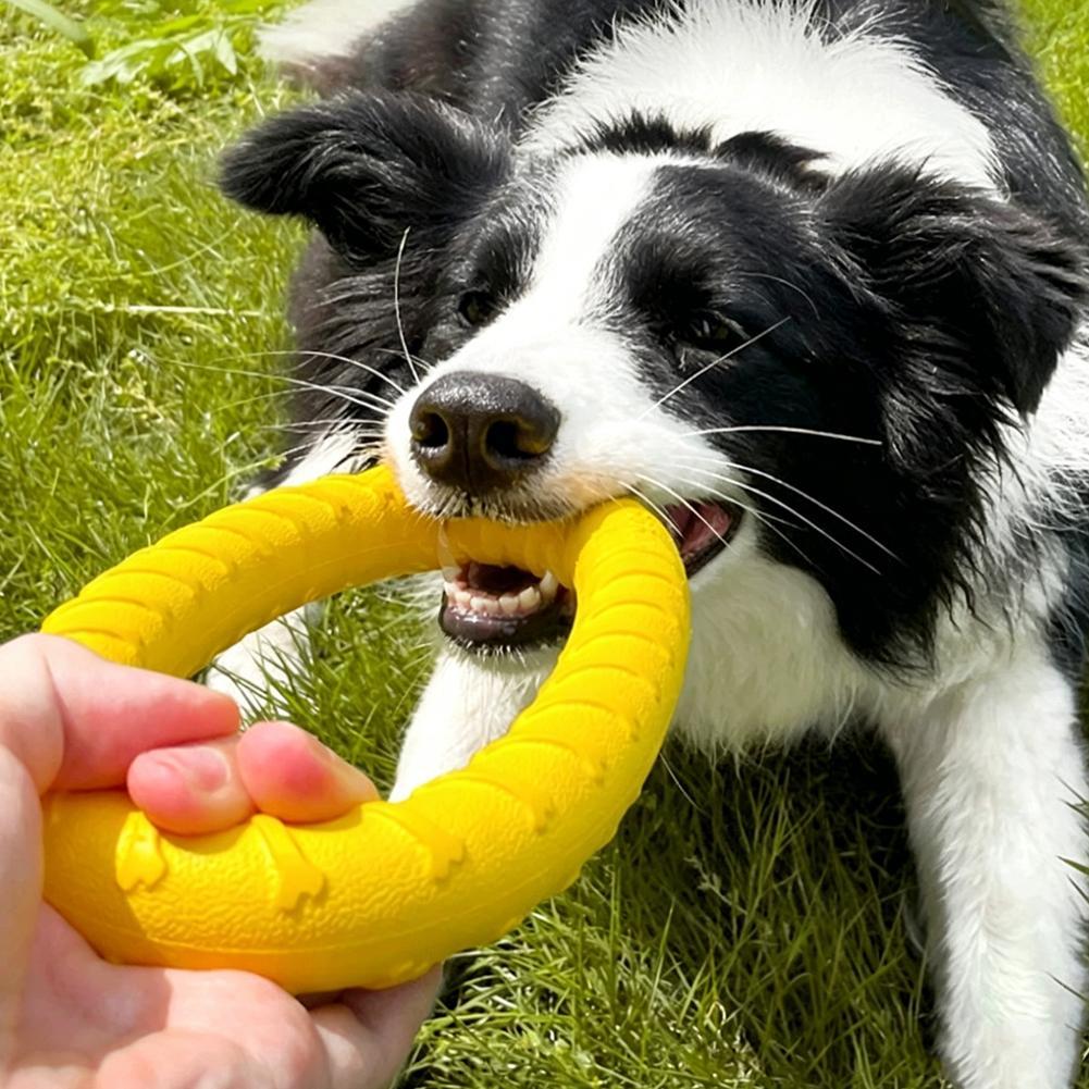 강아지 링 장난감, 파괴 불가능한 씹는 놀이용, 날아다 - Indestructible Dog Chew Toy 리뷰 및 가격