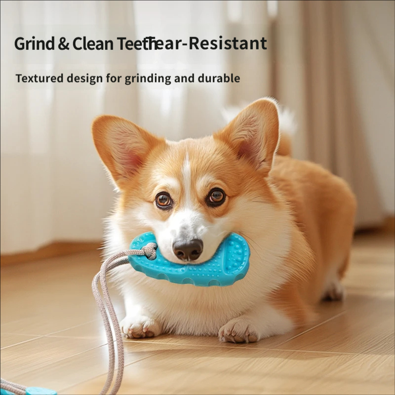 흡착판 강아지 놀이 장난감, 인터랙티브 풀 로프, 치아 - Suction Cup Dog Tug Toy 리뷰 및 가격