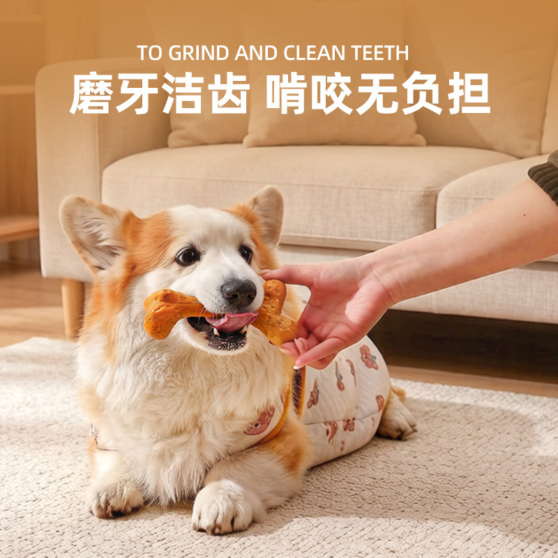 강아지 장난감TPR 내구성 있는 씹힘 방지 치아 청소  - Teeth Cleaning Dog Chew Bone 리뷰 및 가격