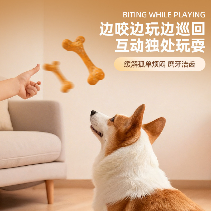 강아지 장난감TPR 내구성 있는 씹힘 방지 치아 청소  - Teeth Cleaning Dog Chew Bone 리뷰 및 가격
