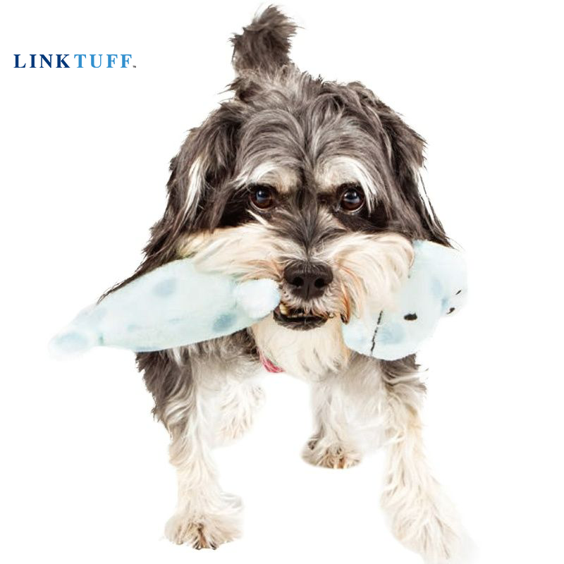 Linktuff-애완견 시끄러운 훈련 장난감, 원숭이/ - Suction Cup Dog Tug Toy 리뷰 및 가격