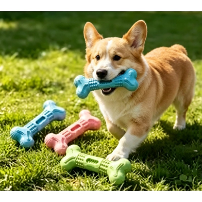 새로운 내구성 있는 애완동물 씹는 장난감 세트 강아지  - Teeth Cleaning Dog Chew Bone 리뷰 및 가격