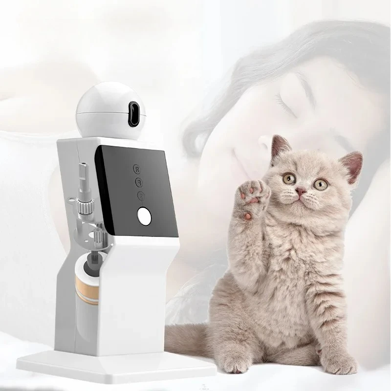 자동 고양이 레이저 로봇 장난감 - 재충전 가능한 지루 - Laser Pointer Cat Toy Automatic 리뷰 및 가격