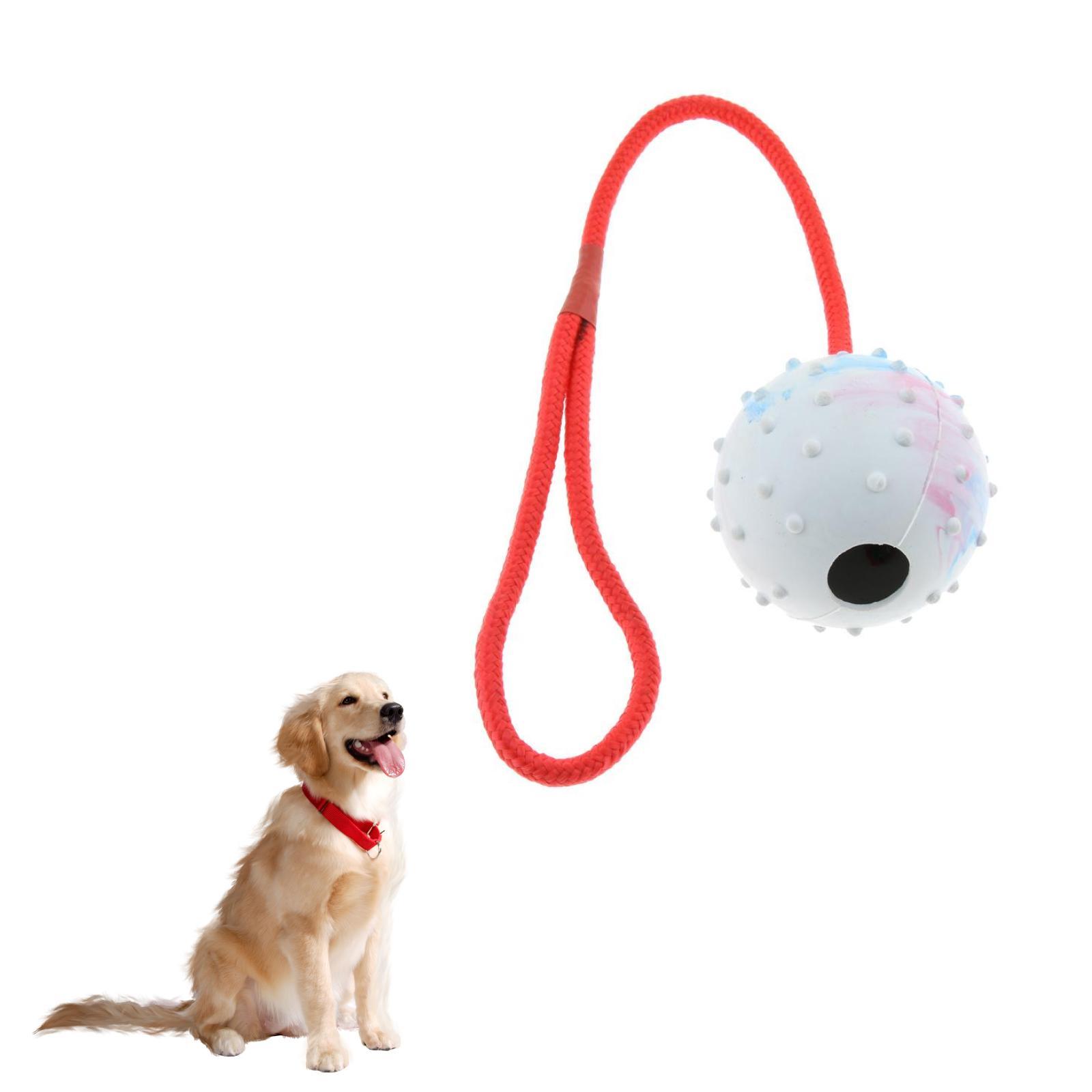 반려동물 훈련용 장난감 부드러운 고무 씹는 공 강아지  - Rubber Treat Dispensing Dog Toy 리뷰 및 가격