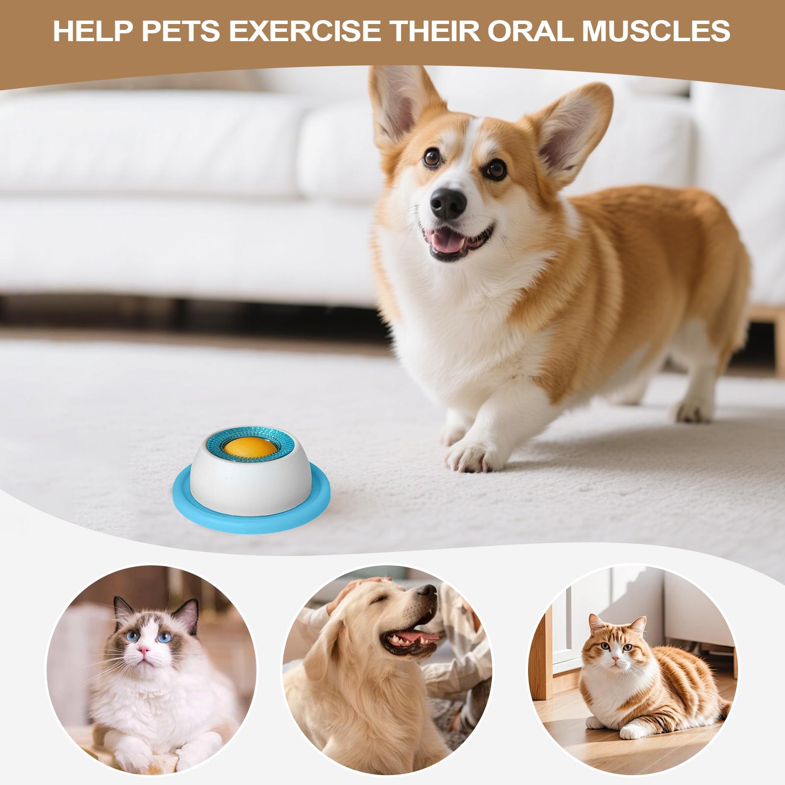 애완동물 급식 용품 강아지 간식 장난감 퍼즐 장난감 지 - Dog Puzzle Feeder Toy 리뷰 및 가격